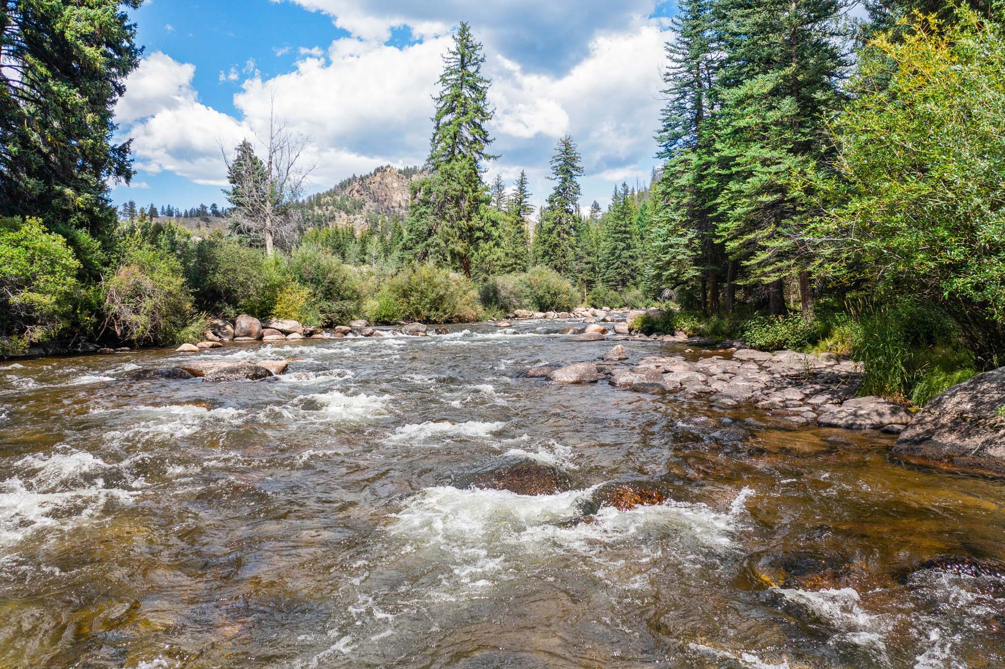 Taylor River in Almont