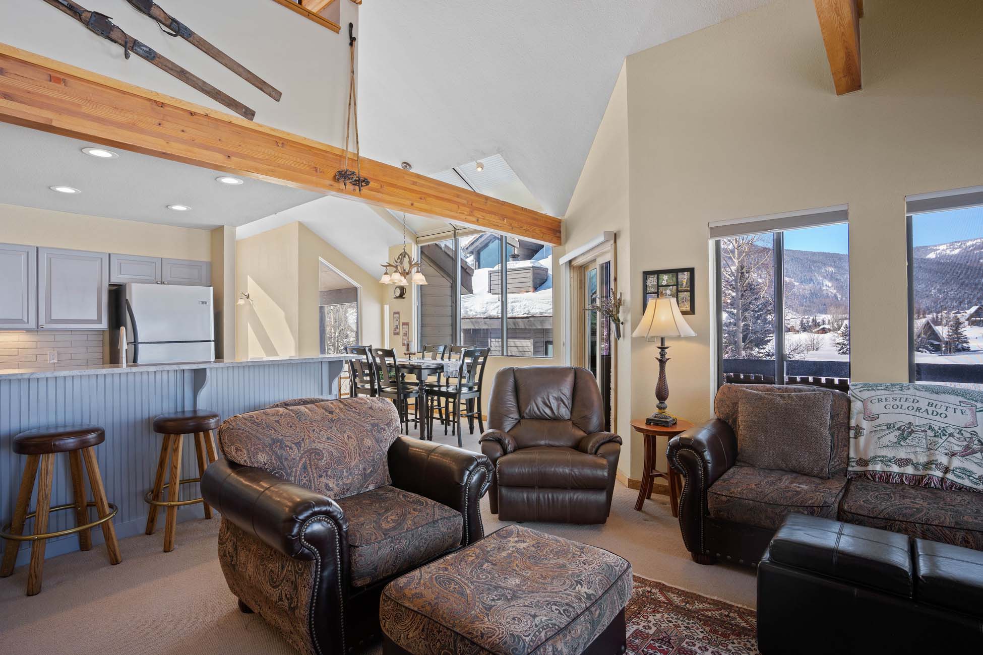 49 Powderview Drive, Crested Butte Colorado - living room