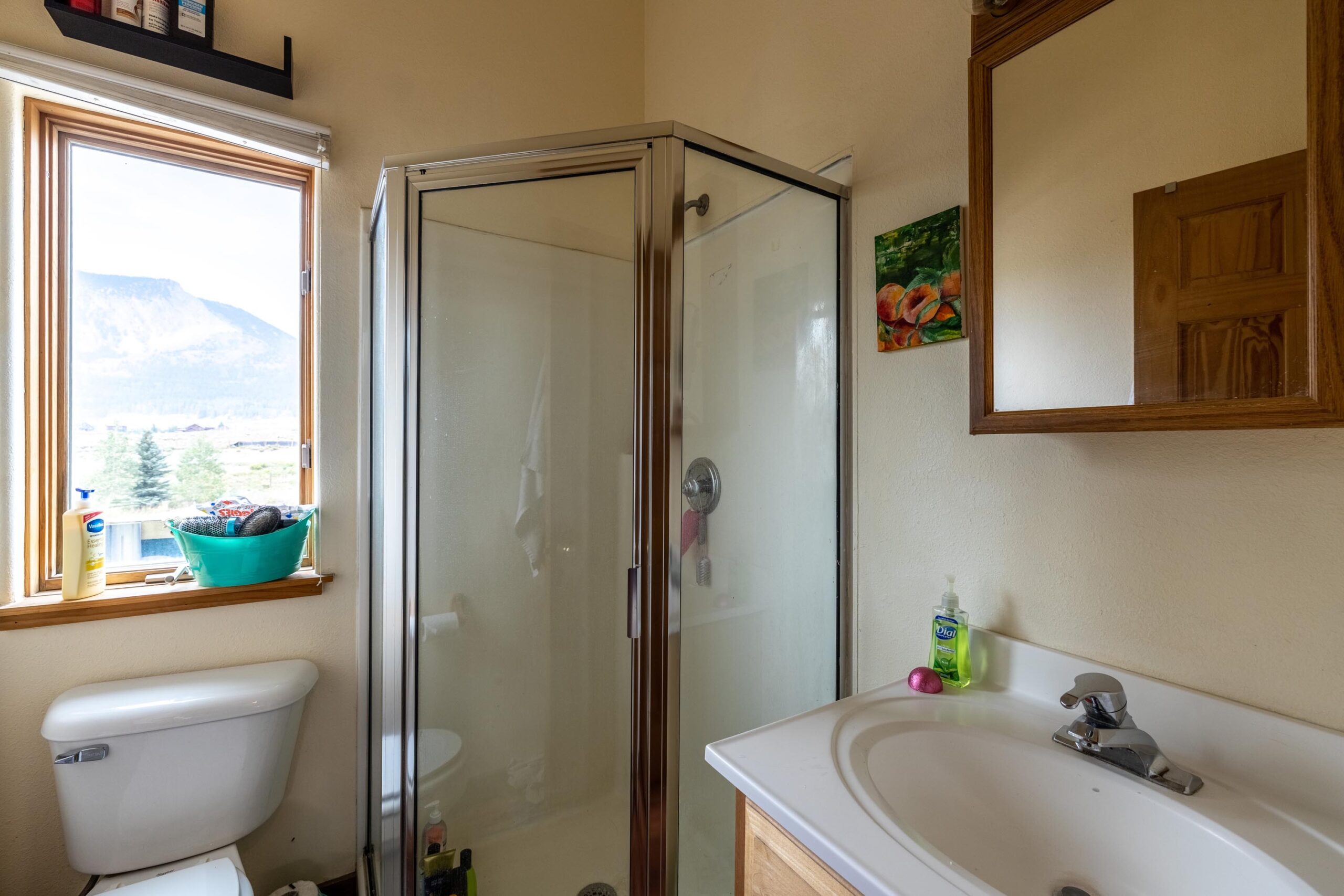 571 Riverland Drive, Crested Butte Colorado - apartment bathroom