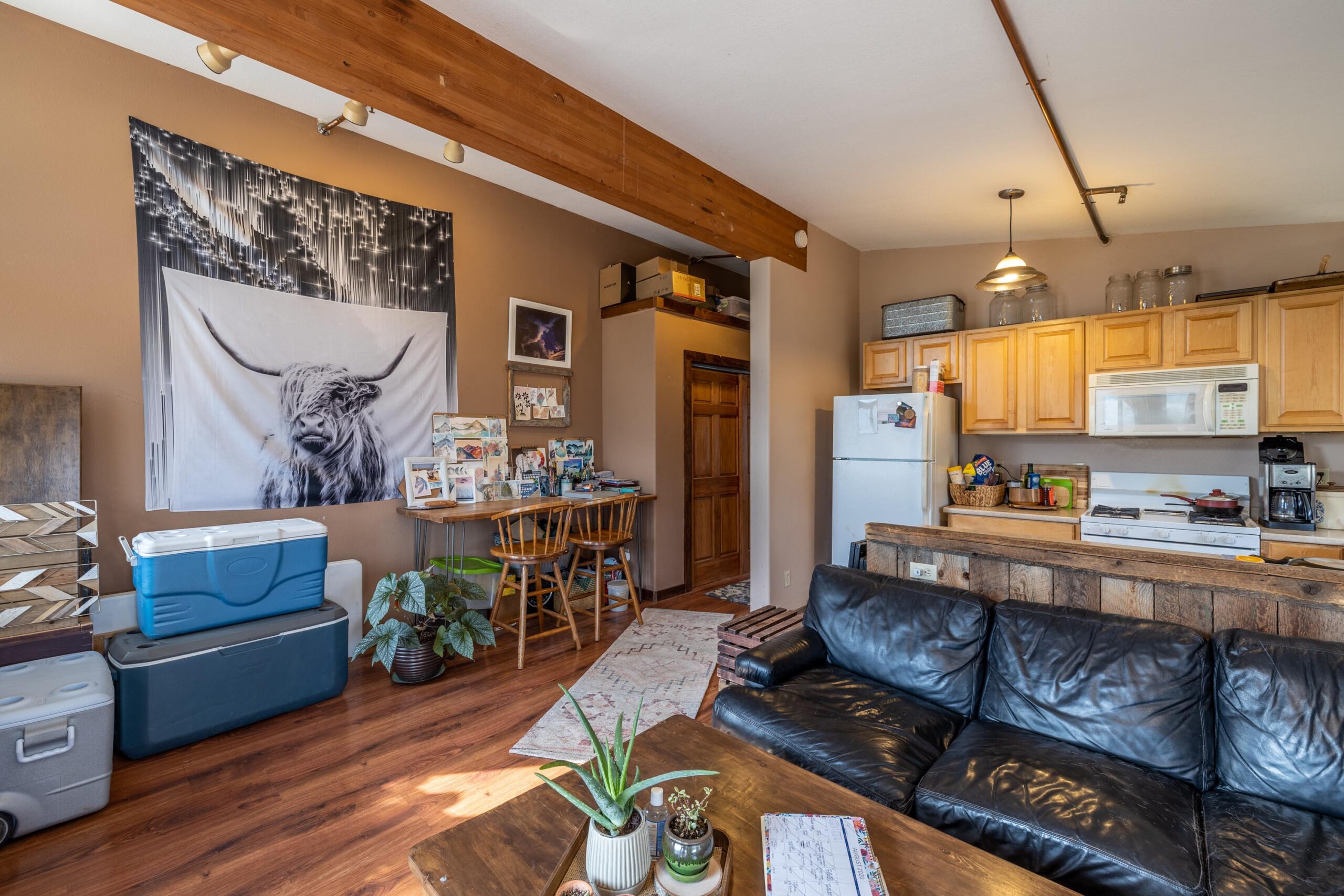 571 Riverland Drive, Crested Butte Colorado - apartment interior