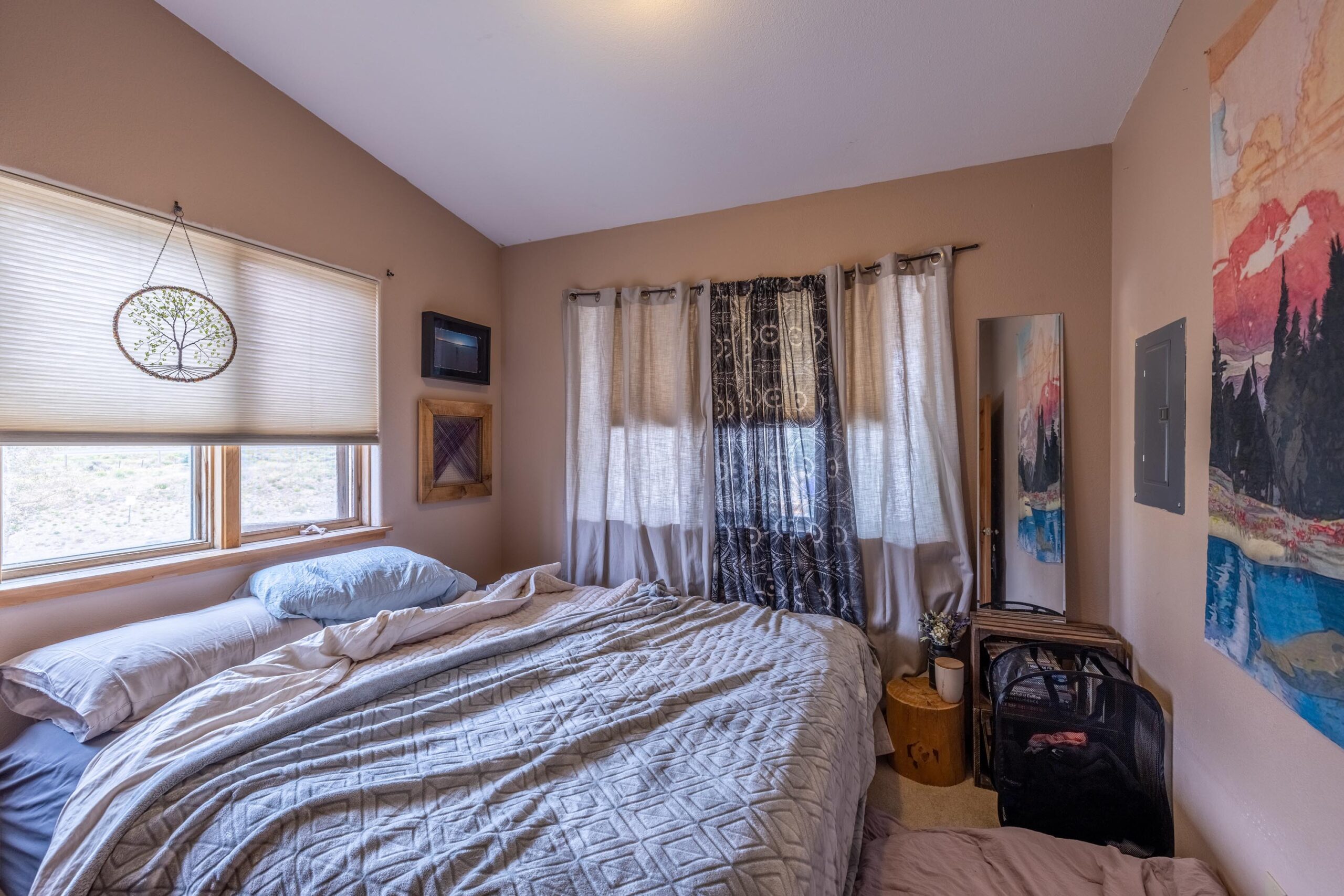 571 Riverland Drive, Crested Butte Colorado - living room bedroom