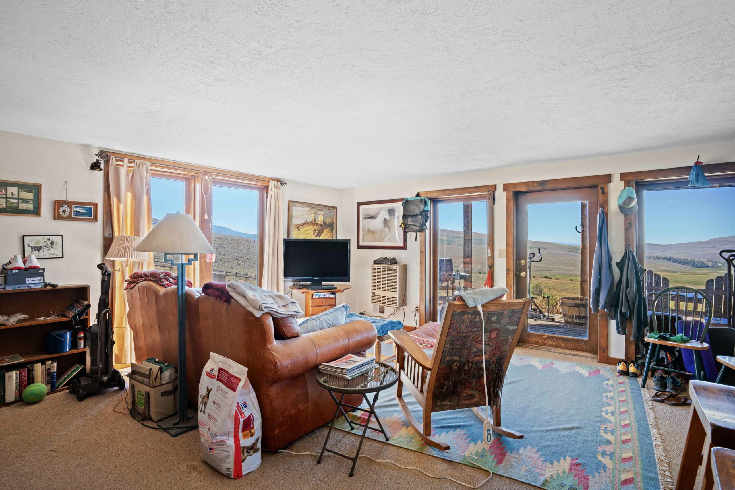 1 Renegade Road Almont, Colorado - apartment living room