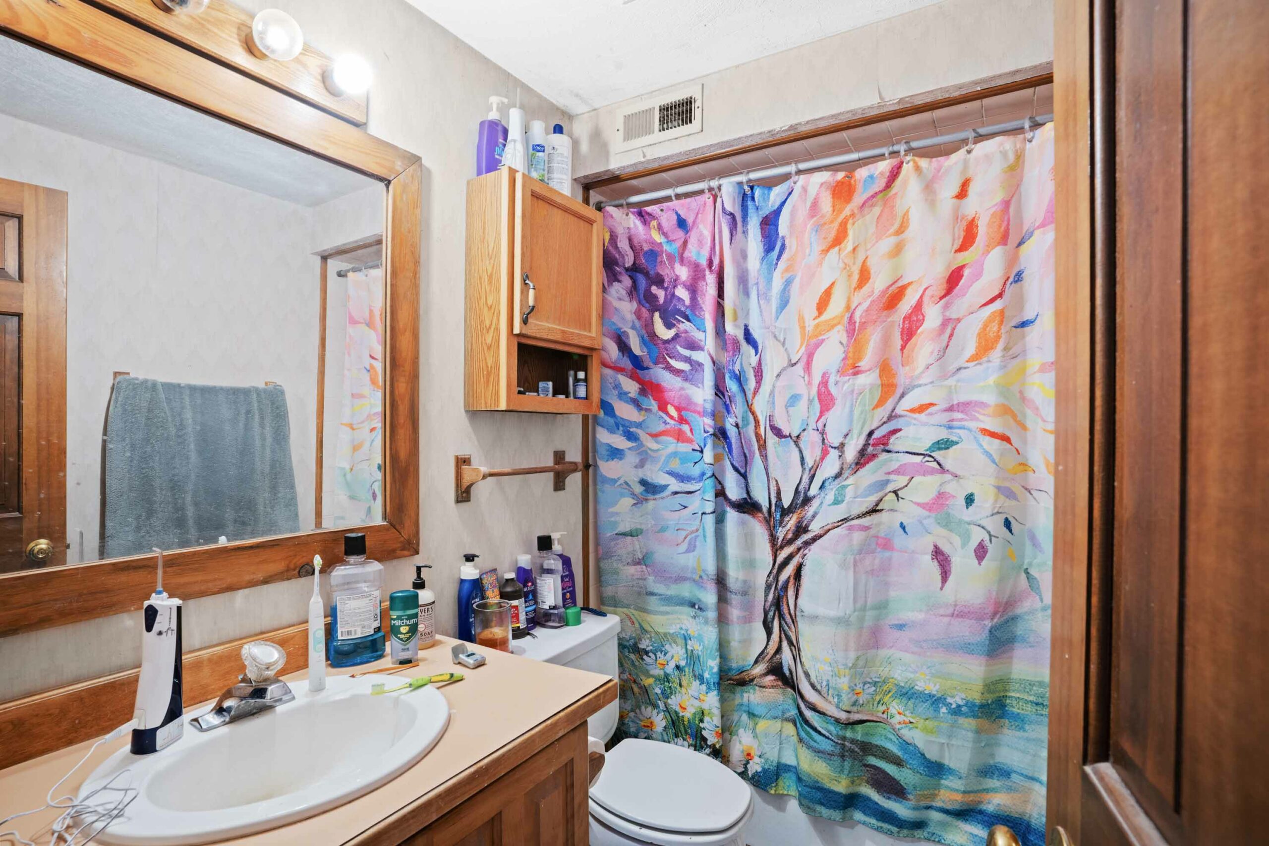 1 Renegade Road Almont, Colorado - apartment bathroom